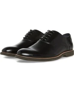 Steve Madden Nunan | Oxfords