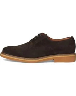 Steve Madden Pettit | Oxfords -Steve Madden Online Shop 61CLBuvLsGL. AC SR736920