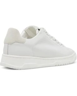 Steve Madden Elsin | Sneakers & Athletic Shoes -Steve Madden Online Shop 61W97PP8J6L. AC SR736920
