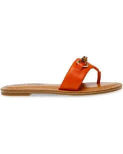 Steve Madden Rebecka | Sandals -Steve Madden Online Shop 61r9uBuvW8L. AC SR736920