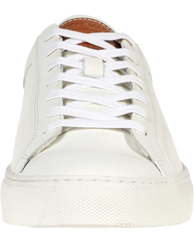 Steve Madden Finneas | Sneakers & Athletic Shoes 8 Steve Madden Finneas | Sneakers & Athletic Shoes - Image 6