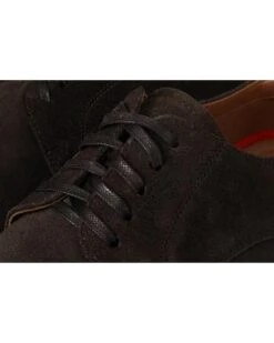 Steve Madden Pettit | Oxfords -Steve Madden Online Shop 716aeBE4lcL. AC SR736920