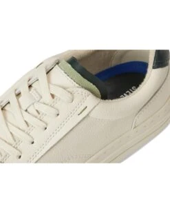 Steve Madden Xavier | Sneakers & Athletic Shoes -Steve Madden Online Shop 71FuockaYYL. AC SR736920