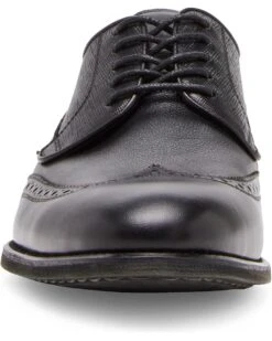 Steve Madden Aamari | Oxfords -Steve Madden Online Shop 71dA0D7u3YL. AC SR736920