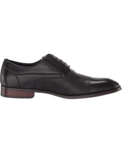 Steve Madden Proctr Oxford | Oxfords 15 Steve Madden Proctr Oxford | Oxfords -Steve Madden Online Shop 71lJkTjVUZL. AC SR736920