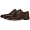 Steve Madden Bannon | Oxfords -Steve Madden Online Shop 71tCFdLeGrL. AC SR736920