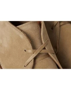 Steve Madden Palta | Boots -Steve Madden Online Shop 81Qnuql2Y4L. AC SR736920